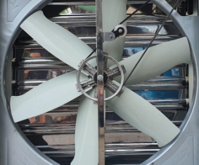 Quạt Thông Gió, Hút Mùi Vuông Công Nghiệp Quạt Thông Gió, Hút Mùi Vuông Công Nghiệp